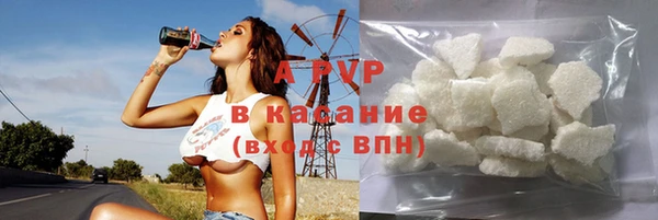 стаф Алзамай