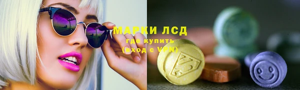 стаф Алзамай