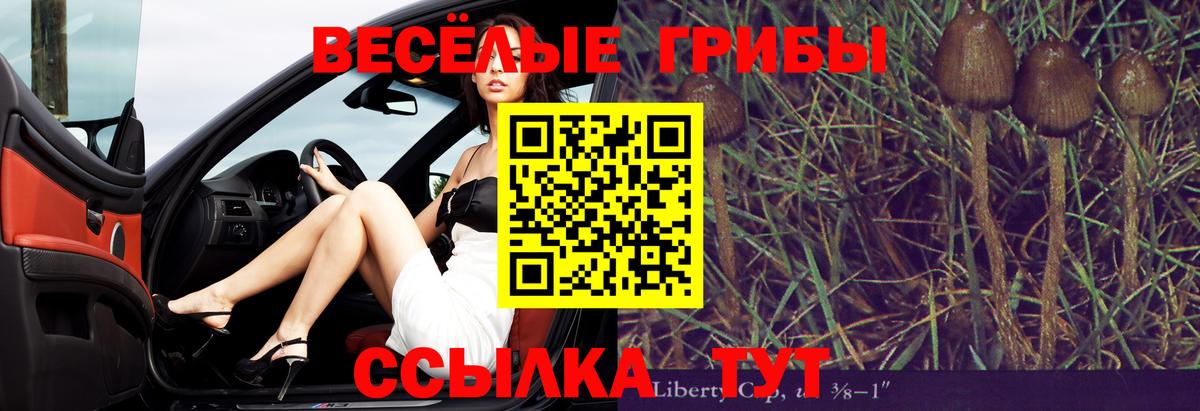 Псилоцибиновые грибы мухоморы  Вход с VPN  Клин 