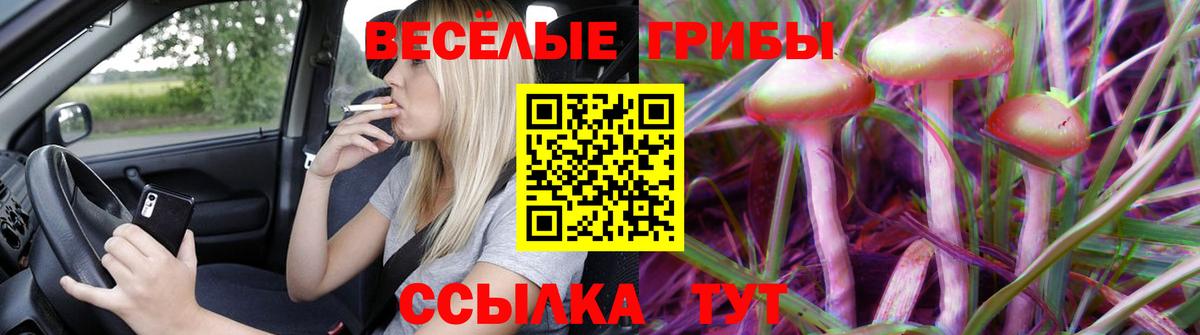 Галлюциногенные грибы MAGIC MUSHROOMS Клин