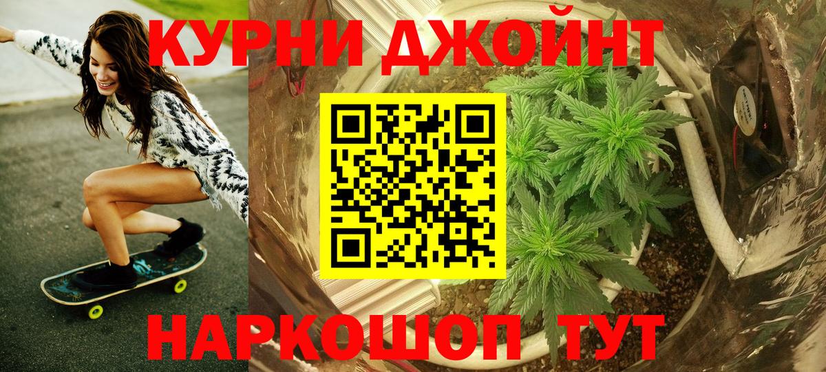 Бошки Шишки SATIVA & INDICA  Конопля White Widow  Клин  Вход с VPN  Конопля гибрид 